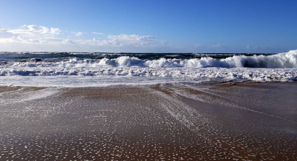 ocean