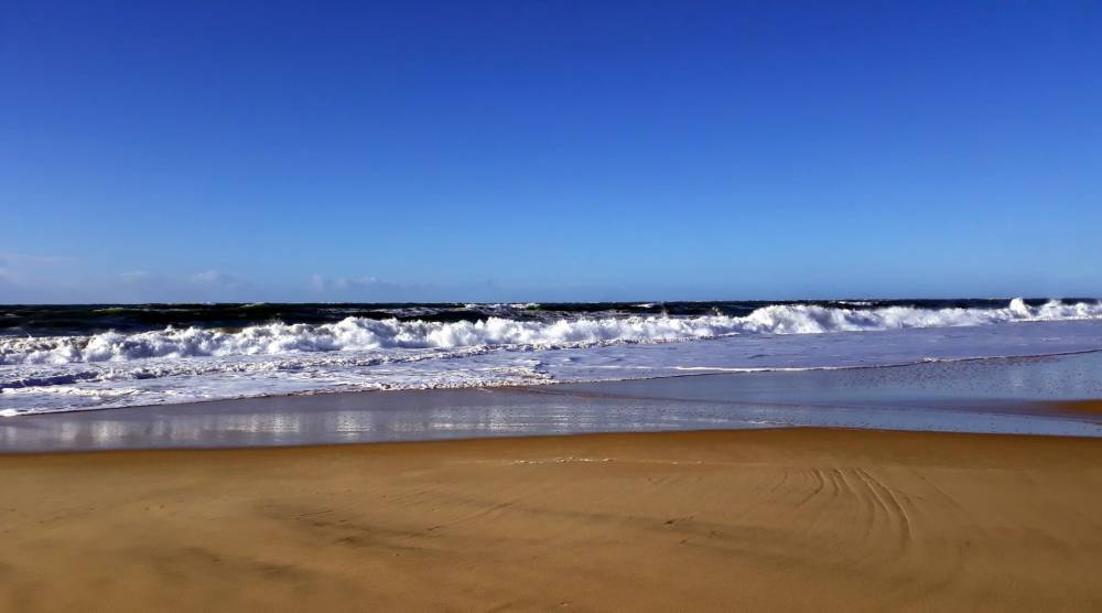 ocean-4